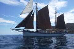 Andrea Jensen Sailing
